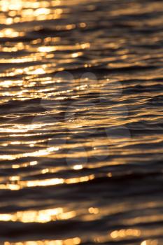 background of water in the rays of the golden sun