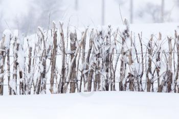 wooden fence in the snow