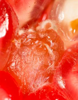 Moldy pomegranate