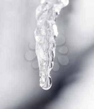 Icicles . close-up