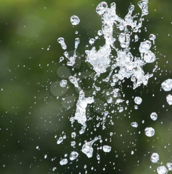 splashing water drop on nature
