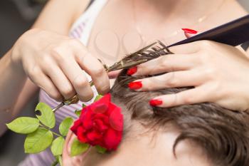 cutting hair with a red rose in a beauty salon