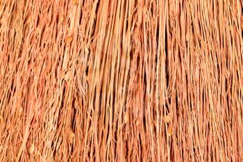 Texture of Drongamaporngry broom