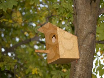 bird-house on a tree