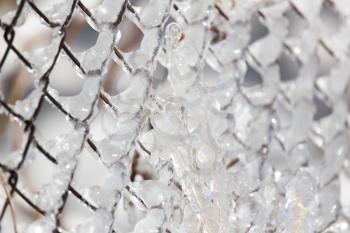 Ice on the fence