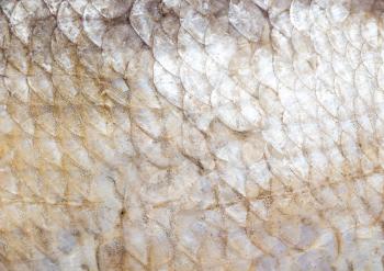 smoked fish skin as a background