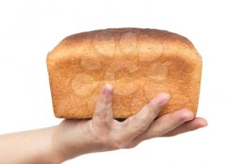 Fresh bread in his hand on a white background