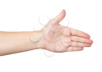 hand on a white background