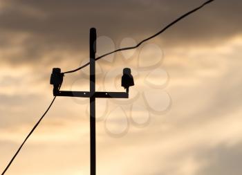 electric pole at sunrise sun