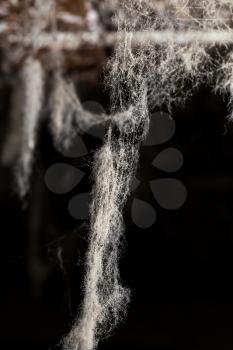 abstract background . web in nature