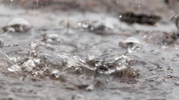 Water splashes in a puddle of rain