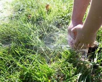 watering grass on nature