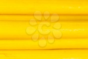 yellow pencils as background