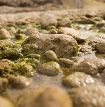 stones in the river in nature
