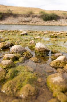 stones in the river in nature