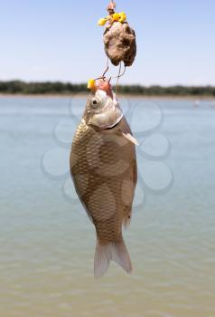 Fisherman caught a fish