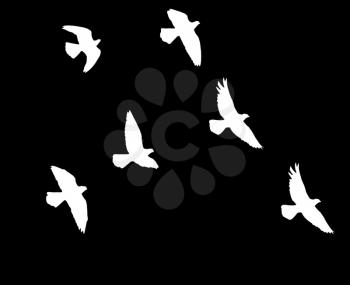 silhouette of a flock of birds on a black background