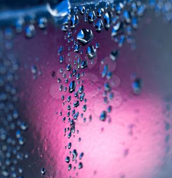 water drops on a pink background