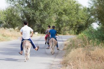 three boys on a donkey rides on the road