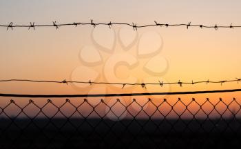 Barbed wire at sunset