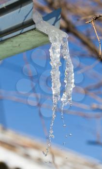 Icicle on a background of blue sky