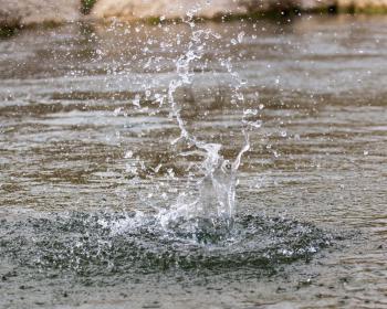 water splashing from a stone in the river .