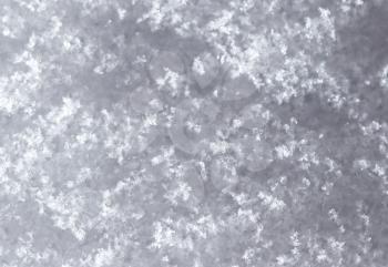 snow as a backdrop. macro . Abstract texture