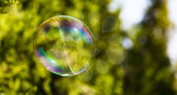 Beautiful soap bubbles fly in the nature .
