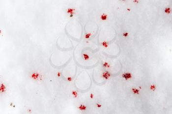 red blood on the snow . Abstract background