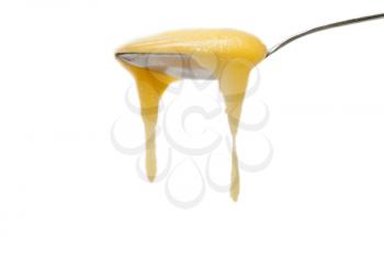 Royalty Free Photo of a Spoonful of Honey