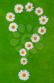 Royalty Free Photo of Flowers Forming a Question Mark