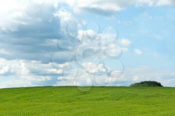 Royalty Free Photo of a Green Field