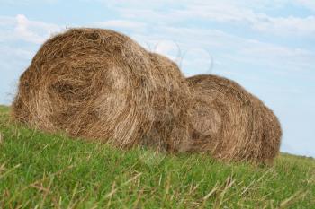 Royalty Free Photo of Haystacks in a Field