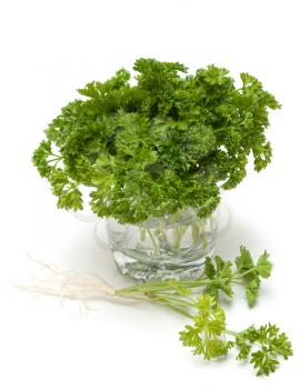 Royalty Free Photo of Parsley in a Vase