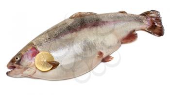 Royalty Free Photo of a Trout