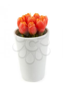 Royalty Free Photo of Tulip Candles