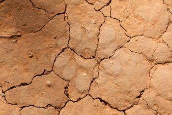 Royalty Free Photo of Dry Cracked Dirt