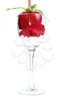 Royalty Free Photo of a Rose in a Wineglass