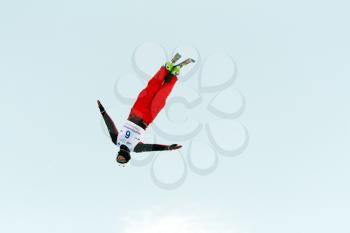 Royalty Free Photo of a Skier Doing a Flip
