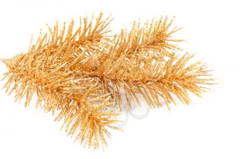 Royalty Free Photo of a Golden Pine Branch
