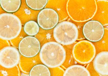 Royalty Free Photo of Slices of Citrus Fruit