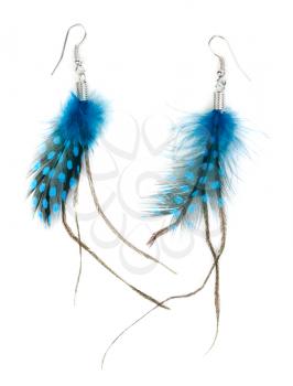 A pair of ladies earrings from feather. Isolate on white