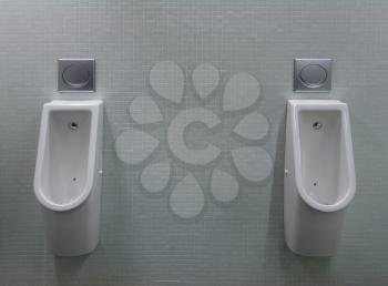 urinals with two white painted a fly on the toilet in the tiled wall