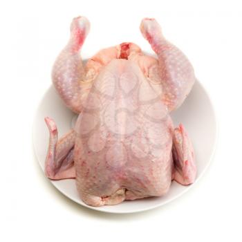 Raw chicken carcass isolate on a white background