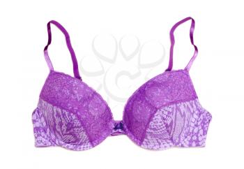 Purple female bra isolated on white background.