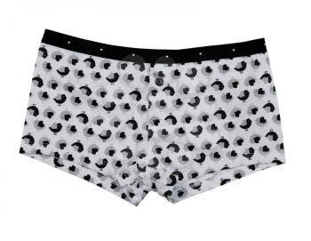 Boxer briefs, isolate on a white background