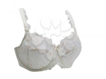 Beige patterned lace bra. Isolate on white.