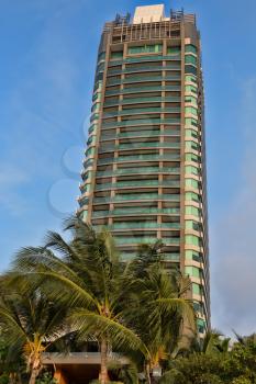 High-rise building on the sky with palm trees.