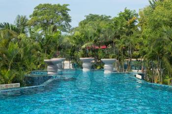 Swimming pool with palm trees. Thailand.