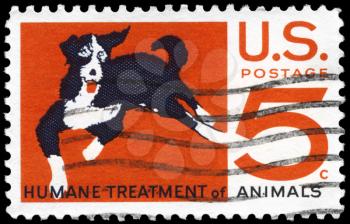 Royalty Free Photo of 1966 US Stamp Shows the Mongrel, Humane Treatment of Animals